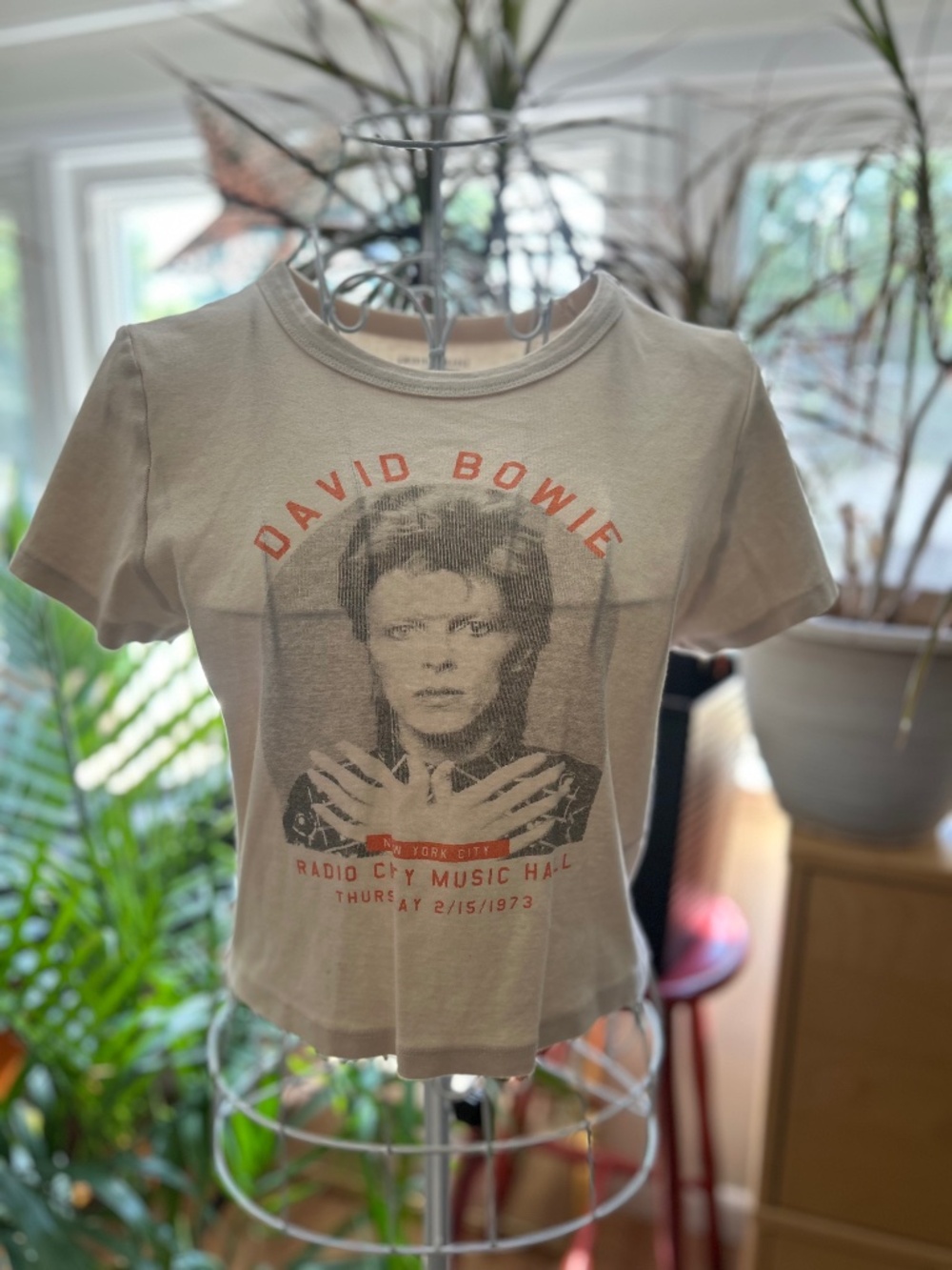 American Eagle David Bowie cropped tee